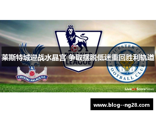 莱斯特城迎战水晶宫 争取摆脱低迷重回胜利轨道