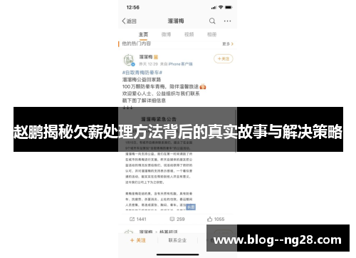 赵鹏揭秘欠薪处理方法背后的真实故事与解决策略