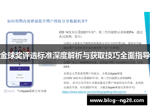 金球奖评选标准深度解析与获取技巧全面指导