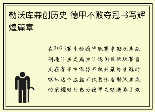 勒沃库森创历史 德甲不败夺冠书写辉煌篇章
